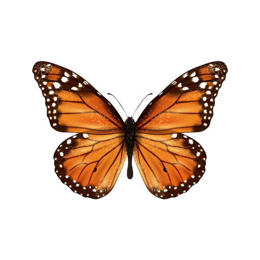 Feen logo