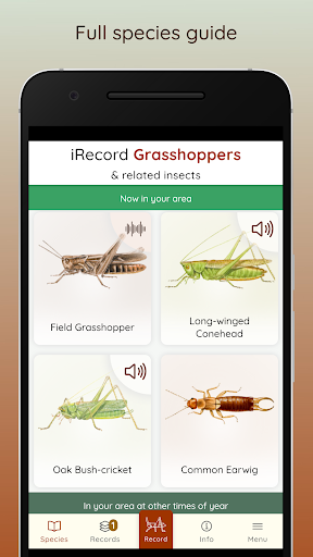 Android application iRecord Grasshoppers screenshort