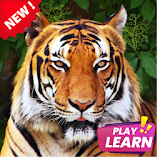 Learn Animals icon
