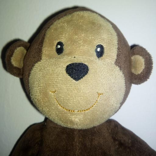 Monkey Detector logo