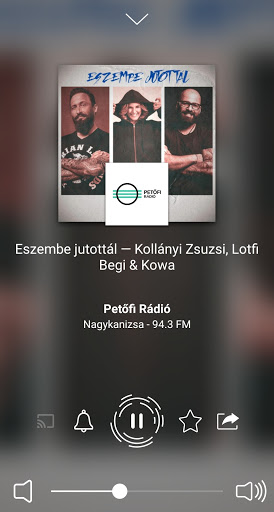 Radio Hungary - Rádió Magyar Screenshot 2 - AppWisp.com