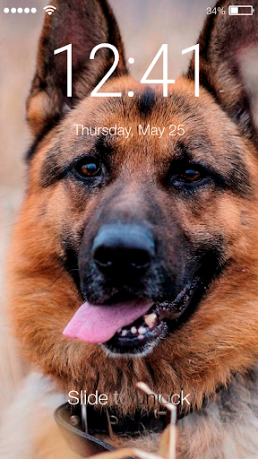 German Shepherd Dog Puppy Theme Screen Lock