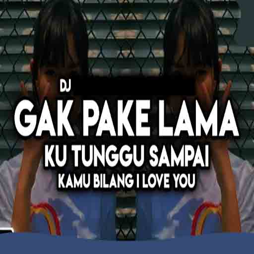 DJ Gak Pake Lama - AppWisp.com