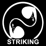 Ninjutsu Striking icon