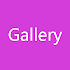 Bun Virtual Gallery 5.5 (Pro)