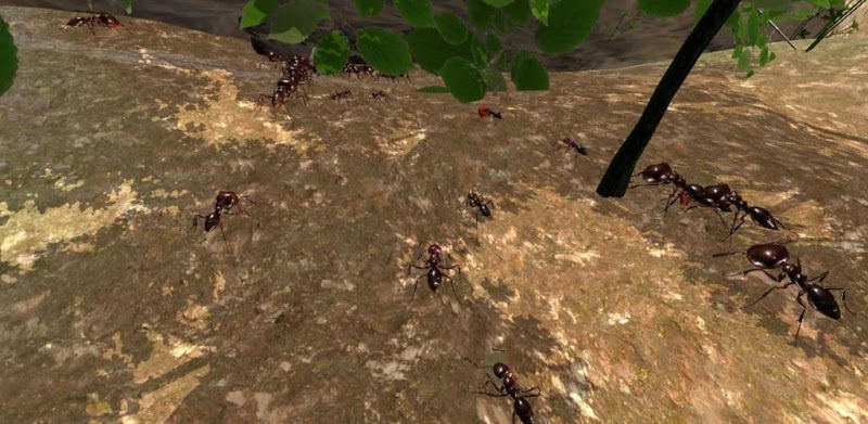 Ameisen Simulation 3D