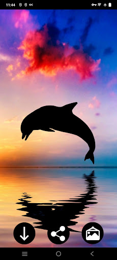 Android application Dolphin Wallpapers screenshort