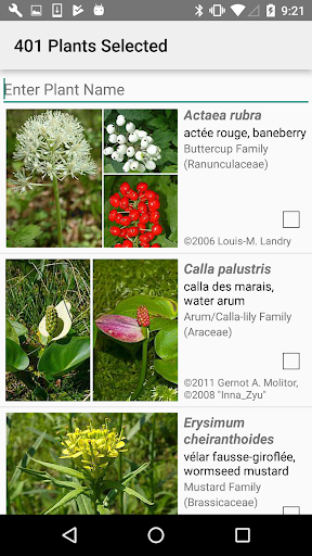 Québec Wildflowers Screen 3