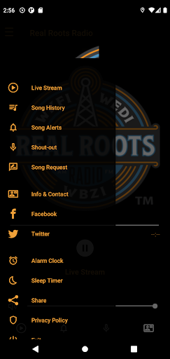 Real Roots Radio Screen 2