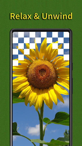 Jigsaw Puzzle - Interesting Screen 3