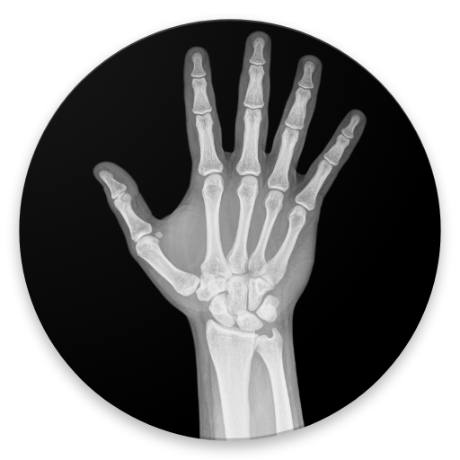 Bone age logo