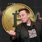 Bitcoin Crash