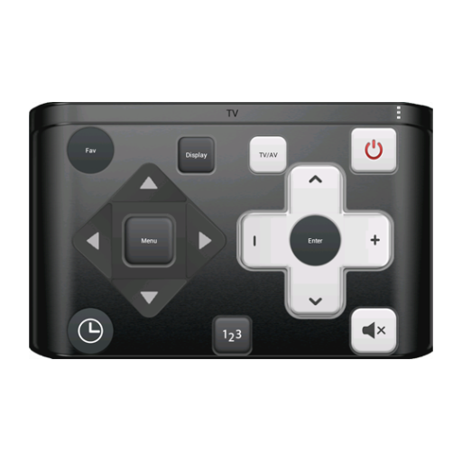 Pro Adept Remote Control