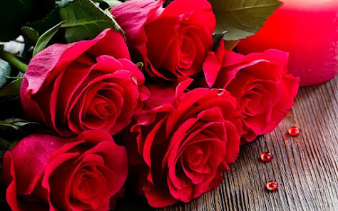 Screenshot 5 Flores y Rosas Rojas imágenes  android