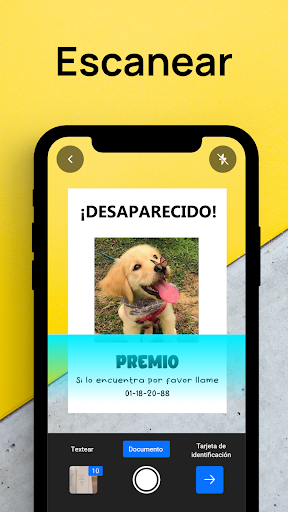 Vista previa de la aplicación