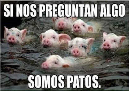 Imágen 2 humor y Memes para Whatsapp android