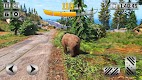 screenshot of Animal Games - Bear Games