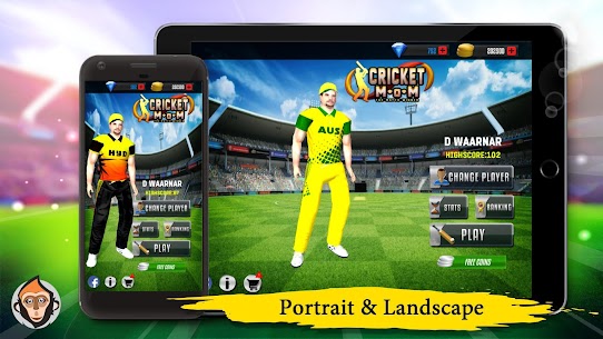 Cricket Man Of the Match : Player Career For PC installation