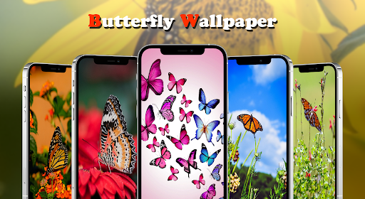 Android application Butterfly Wallpapers screenshort