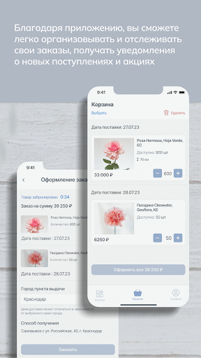 Flowers Screen 3