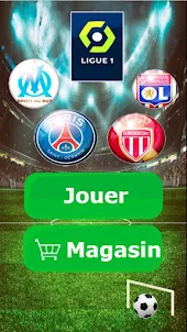 French Ligue 1 game