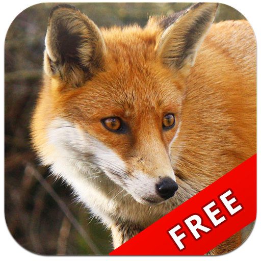 About: Learning Animals (Google Play version) | | Apptopia