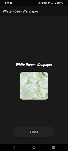 White Roses Wallpaper Screen 2