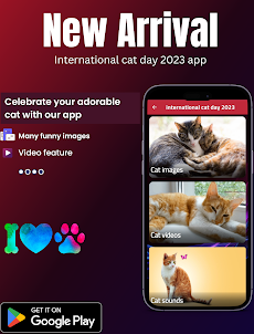 international cat day 2023