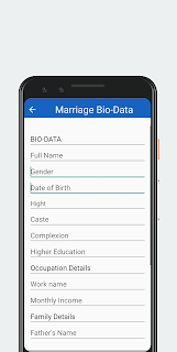 Biodata - CV Maker