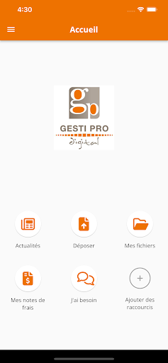 GESTI PRO DIGITAL Screen 2