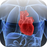 Echo Cardiography Free icon