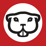 delivery gopher icon