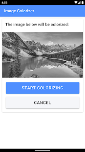 Image Colorizer - Colorize B&W स्क्रीनशॉट
