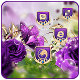 Purple Rose Butterfly icon