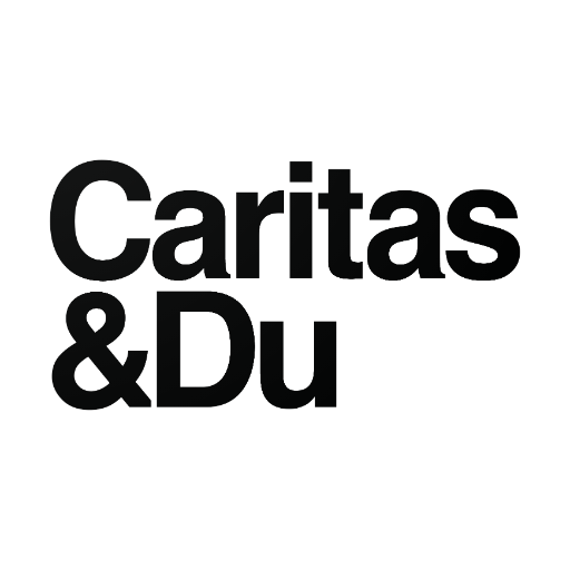 Carinet Download on Windows