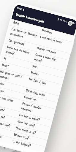 English - Luxembourgish Screen 2