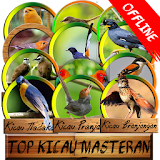 Top Master Kicau (offline) icon