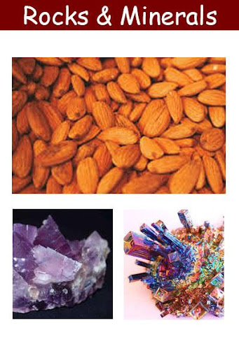 Rocks & Minerals Book Screen 3