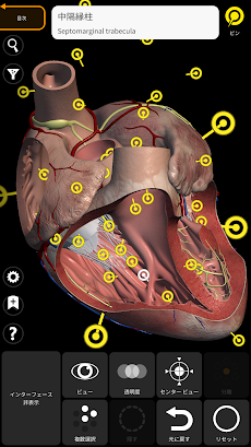 解剖学 - 3Dアトラスのおすすめ画像3