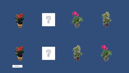 Plants Pair Matching Game Screen 2