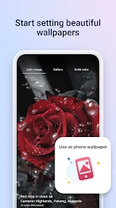 Screenshot image