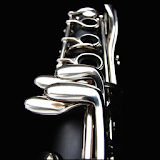 Clarinet Player icon