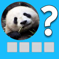 Picture Guess Game Multiplayer