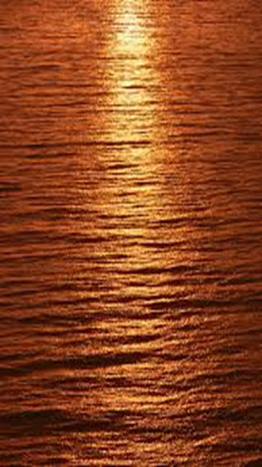 Brown Mix Wallpapers