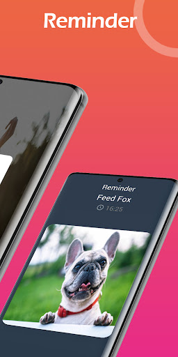 Didid: Daily Video Alarm Clock Screen 2