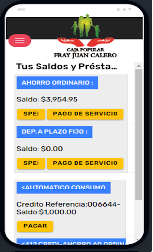 CajaFJCalero Screen 2