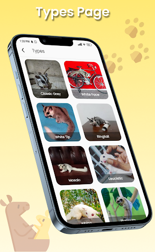 Sugar Glider Care Screen 3