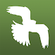 Little Bird Guide: Aves Europe - Androidアプリ