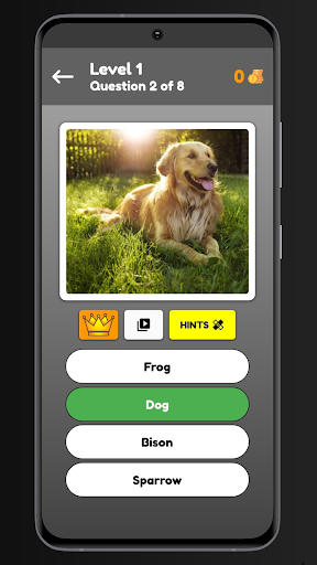 Animals Quiz Screen 2