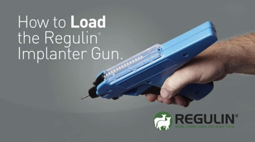 Regulin Screen 3